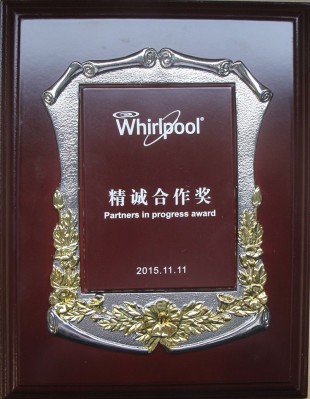 Partners in progress award